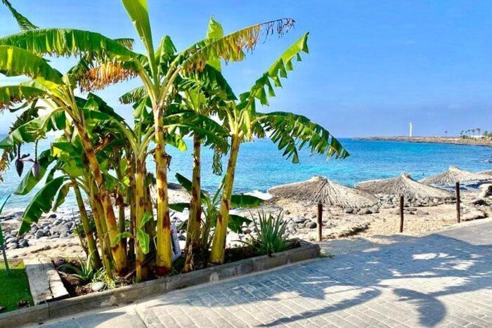 פלאיה בלנקה Casa Atilana Apartamento A 150 Metros De La Playa מראה חיצוני תמונה